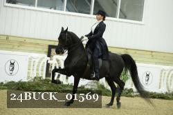 24BUCK_01569 thumbnail