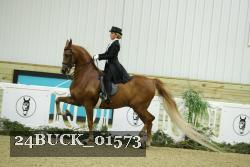 24BUCK_01573 thumbnail