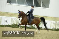 24BUCK_01574 thumbnail
