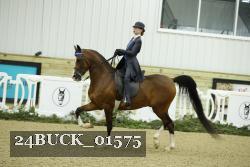 24BUCK_01575 thumbnail
