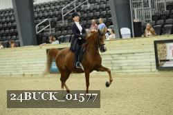 24BUCK_01577 thumbnail