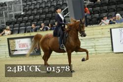 24BUCK_01578 thumbnail