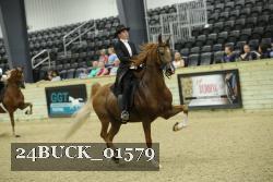 24BUCK_01579 thumbnail