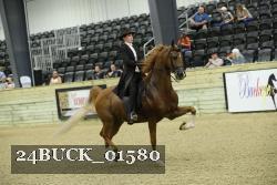 24BUCK_01580 thumbnail