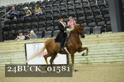 24BUCK_01581 thumbnail