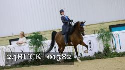 24BUCK_01582 thumbnail