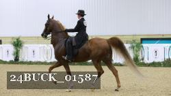 24BUCK_01587 thumbnail