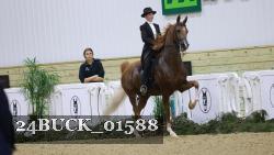 24BUCK_01588 thumbnail