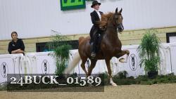 24BUCK_01589 thumbnail