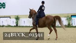 24BUCK_01591 thumbnail