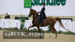 24BUCK_01592 thumbnail