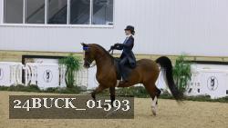 24BUCK_01593 thumbnail