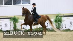 24BUCK_01594 thumbnail