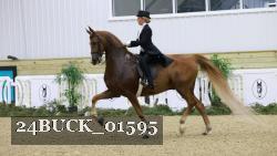 24BUCK_01595 thumbnail