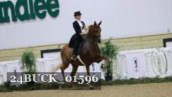 24BUCK_01596 thumbnail