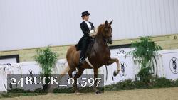 24BUCK_01597 thumbnail