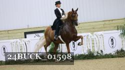 24BUCK_01598 thumbnail