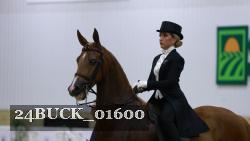 24BUCK_01600 thumbnail