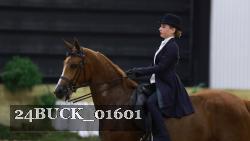 24BUCK_01601 thumbnail