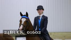 24BUCK_01602 thumbnail
