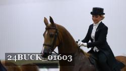 24BUCK_01603 thumbnail