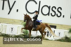 24BUCK_01606 thumbnail