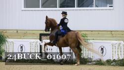 24BUCK_01607 thumbnail