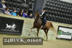 24BUCK_01608 thumbnail
