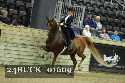 24BUCK_01609 thumbnail