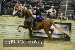 24BUCK_01615 thumbnail