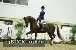 24BUCK_01620 thumbnail