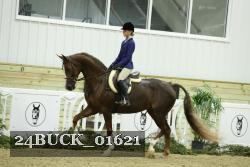 24BUCK_01621 thumbnail