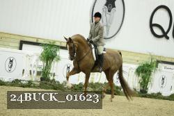 24BUCK_01623 thumbnail