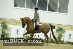 24BUCK_01624 thumbnail
