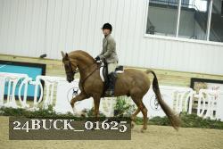 24BUCK_01625 thumbnail