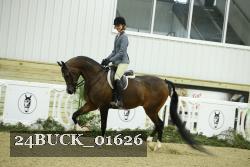 24BUCK_01626 thumbnail