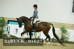 24BUCK_01627 thumbnail