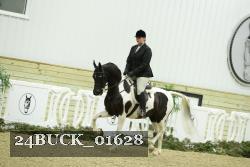 24BUCK_01628 thumbnail