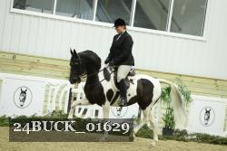 24BUCK_01629 thumbnail