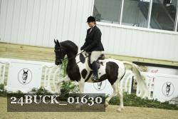 24BUCK_01630 thumbnail