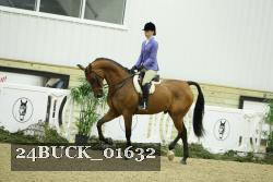 24BUCK_01632 thumbnail