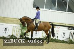 24BUCK_01633 thumbnail