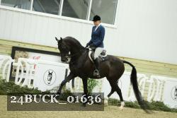 24BUCK_01636 thumbnail
