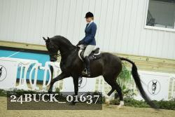 24BUCK_01637 thumbnail