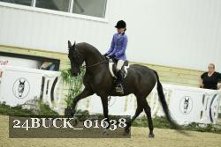 24BUCK_01638 thumbnail