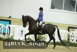 24BUCK_01640 thumbnail