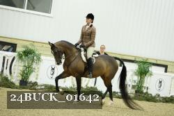 24BUCK_01642 thumbnail