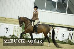 24BUCK_01643 thumbnail