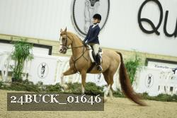 24BUCK_01646 thumbnail