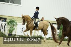 24BUCK_01647 thumbnail